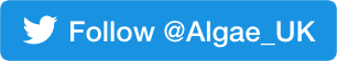 Follow Algae-UK on Twitter